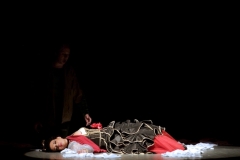 Carmen,Opera Slaska